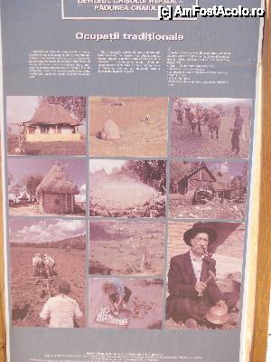 [P26]  -- <small>// FĂRĂ DESCRIERE</small> » foto by geta10
 - 
<span class="allrVoted glyphicon glyphicon-heart hidden" id="av462413"></span>
<a class="m-l-10 hidden" id="sv462413" onclick="voting_Foto_DelVot(,462413,15274)" role="button">șterge vot <span class="glyphicon glyphicon-remove"></span></a>
<a id="v9462413" class=" c-red"  onclick="voting_Foto_SetVot(462413)" role="button"><span class="glyphicon glyphicon-heart-empty"></span> <b>LIKE</b> = Votează poza</a> <img class="hidden"  id="f462413W9" src="/imagini/loader.gif" border="0" /><span class="AjErrMes hidden" id="e462413ErM"></span>