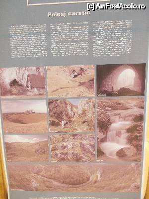 [P27]  -- <small>// FĂRĂ DESCRIERE</small> » foto by geta10
 - 
<span class="allrVoted glyphicon glyphicon-heart hidden" id="av462414"></span>
<a class="m-l-10 hidden" id="sv462414" onclick="voting_Foto_DelVot(,462414,15274)" role="button">șterge vot <span class="glyphicon glyphicon-remove"></span></a>
<a id="v9462414" class=" c-red"  onclick="voting_Foto_SetVot(462414)" role="button"><span class="glyphicon glyphicon-heart-empty"></span> <b>LIKE</b> = Votează poza</a> <img class="hidden"  id="f462414W9" src="/imagini/loader.gif" border="0" /><span class="AjErrMes hidden" id="e462414ErM"></span>