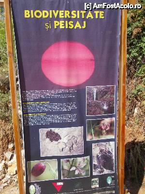 [P28]  -- <small>// FĂRĂ DESCRIERE</small> » foto by geta10
 - 
<span class="allrVoted glyphicon glyphicon-heart hidden" id="av462415"></span>
<a class="m-l-10 hidden" id="sv462415" onclick="voting_Foto_DelVot(,462415,15274)" role="button">șterge vot <span class="glyphicon glyphicon-remove"></span></a>
<a id="v9462415" class=" c-red"  onclick="voting_Foto_SetVot(462415)" role="button"><span class="glyphicon glyphicon-heart-empty"></span> <b>LIKE</b> = Votează poza</a> <img class="hidden"  id="f462415W9" src="/imagini/loader.gif" border="0" /><span class="AjErrMes hidden" id="e462415ErM"></span>