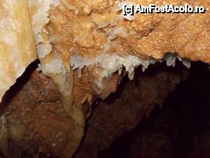 [P33]  -- <small>// FĂRĂ DESCRIERE</small> » foto by geta10
 - 
<span class="allrVoted glyphicon glyphicon-heart hidden" id="av462420"></span>
<a class="m-l-10 hidden" id="sv462420" onclick="voting_Foto_DelVot(,462420,15274)" role="button">șterge vot <span class="glyphicon glyphicon-remove"></span></a>
<a id="v9462420" class=" c-red"  onclick="voting_Foto_SetVot(462420)" role="button"><span class="glyphicon glyphicon-heart-empty"></span> <b>LIKE</b> = Votează poza</a> <img class="hidden"  id="f462420W9" src="/imagini/loader.gif" border="0" /><span class="AjErrMes hidden" id="e462420ErM"></span>