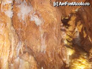 [P34]  -- <small>// FĂRĂ DESCRIERE</small> » foto by geta10
 - 
<span class="allrVoted glyphicon glyphicon-heart hidden" id="av462421"></span>
<a class="m-l-10 hidden" id="sv462421" onclick="voting_Foto_DelVot(,462421,15274)" role="button">șterge vot <span class="glyphicon glyphicon-remove"></span></a>
<a id="v9462421" class=" c-red"  onclick="voting_Foto_SetVot(462421)" role="button"><span class="glyphicon glyphicon-heart-empty"></span> <b>LIKE</b> = Votează poza</a> <img class="hidden"  id="f462421W9" src="/imagini/loader.gif" border="0" /><span class="AjErrMes hidden" id="e462421ErM"></span>