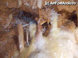 [P36]  -- <small>// FĂRĂ DESCRIERE</small> » foto by geta10
 - 
<span class="allrVoted glyphicon glyphicon-heart hidden" id="av462423"></span>
<a class="m-l-10 hidden" id="sv462423" onclick="voting_Foto_DelVot(,462423,15274)" role="button">șterge vot <span class="glyphicon glyphicon-remove"></span></a>
<a id="v9462423" class=" c-red"  onclick="voting_Foto_SetVot(462423)" role="button"><span class="glyphicon glyphicon-heart-empty"></span> <b>LIKE</b> = Votează poza</a> <img class="hidden"  id="f462423W9" src="/imagini/loader.gif" border="0" /><span class="AjErrMes hidden" id="e462423ErM"></span>