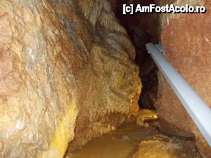 [P39]  -- <small>// FĂRĂ DESCRIERE</small> » foto by geta10
 - 
<span class="allrVoted glyphicon glyphicon-heart hidden" id="av462427"></span>
<a class="m-l-10 hidden" id="sv462427" onclick="voting_Foto_DelVot(,462427,15274)" role="button">șterge vot <span class="glyphicon glyphicon-remove"></span></a>
<a id="v9462427" class=" c-red"  onclick="voting_Foto_SetVot(462427)" role="button"><span class="glyphicon glyphicon-heart-empty"></span> <b>LIKE</b> = Votează poza</a> <img class="hidden"  id="f462427W9" src="/imagini/loader.gif" border="0" /><span class="AjErrMes hidden" id="e462427ErM"></span>