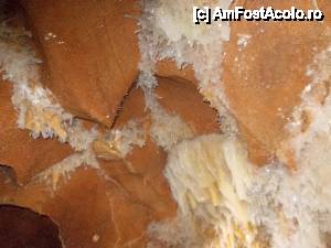 [P40]  -- <small>// FĂRĂ DESCRIERE</small> » foto by geta10
 - 
<span class="allrVoted glyphicon glyphicon-heart hidden" id="av462428"></span>
<a class="m-l-10 hidden" id="sv462428" onclick="voting_Foto_DelVot(,462428,15274)" role="button">șterge vot <span class="glyphicon glyphicon-remove"></span></a>
<a id="v9462428" class=" c-red"  onclick="voting_Foto_SetVot(462428)" role="button"><span class="glyphicon glyphicon-heart-empty"></span> <b>LIKE</b> = Votează poza</a> <img class="hidden"  id="f462428W9" src="/imagini/loader.gif" border="0" /><span class="AjErrMes hidden" id="e462428ErM"></span>