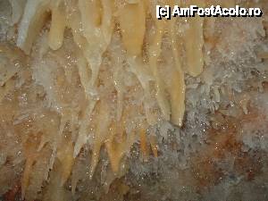 [P41]  -- <small>// FĂRĂ DESCRIERE</small> » foto by geta10
 - 
<span class="allrVoted glyphicon glyphicon-heart hidden" id="av462429"></span>
<a class="m-l-10 hidden" id="sv462429" onclick="voting_Foto_DelVot(,462429,15274)" role="button">șterge vot <span class="glyphicon glyphicon-remove"></span></a>
<a id="v9462429" class=" c-red"  onclick="voting_Foto_SetVot(462429)" role="button"><span class="glyphicon glyphicon-heart-empty"></span> <b>LIKE</b> = Votează poza</a> <img class="hidden"  id="f462429W9" src="/imagini/loader.gif" border="0" /><span class="AjErrMes hidden" id="e462429ErM"></span>