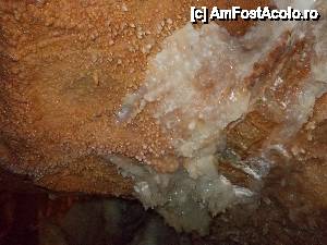 [P43]  -- <small>// FĂRĂ DESCRIERE</small> » foto by geta10
 - 
<span class="allrVoted glyphicon glyphicon-heart hidden" id="av462432"></span>
<a class="m-l-10 hidden" id="sv462432" onclick="voting_Foto_DelVot(,462432,15274)" role="button">șterge vot <span class="glyphicon glyphicon-remove"></span></a>
<a id="v9462432" class=" c-red"  onclick="voting_Foto_SetVot(462432)" role="button"><span class="glyphicon glyphicon-heart-empty"></span> <b>LIKE</b> = Votează poza</a> <img class="hidden"  id="f462432W9" src="/imagini/loader.gif" border="0" /><span class="AjErrMes hidden" id="e462432ErM"></span>