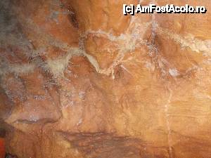 [P46]  -- <small>// FĂRĂ DESCRIERE</small> » foto by geta10
 - 
<span class="allrVoted glyphicon glyphicon-heart hidden" id="av462437"></span>
<a class="m-l-10 hidden" id="sv462437" onclick="voting_Foto_DelVot(,462437,15274)" role="button">șterge vot <span class="glyphicon glyphicon-remove"></span></a>
<a id="v9462437" class=" c-red"  onclick="voting_Foto_SetVot(462437)" role="button"><span class="glyphicon glyphicon-heart-empty"></span> <b>LIKE</b> = Votează poza</a> <img class="hidden"  id="f462437W9" src="/imagini/loader.gif" border="0" /><span class="AjErrMes hidden" id="e462437ErM"></span>