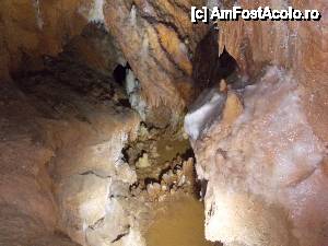 [P47]  -- <small>// FĂRĂ DESCRIERE</small> » foto by geta10
 - 
<span class="allrVoted glyphicon glyphicon-heart hidden" id="av462439"></span>
<a class="m-l-10 hidden" id="sv462439" onclick="voting_Foto_DelVot(,462439,15274)" role="button">șterge vot <span class="glyphicon glyphicon-remove"></span></a>
<a id="v9462439" class=" c-red"  onclick="voting_Foto_SetVot(462439)" role="button"><span class="glyphicon glyphicon-heart-empty"></span> <b>LIKE</b> = Votează poza</a> <img class="hidden"  id="f462439W9" src="/imagini/loader.gif" border="0" /><span class="AjErrMes hidden" id="e462439ErM"></span>