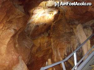 [P50]  -- <small>// FĂRĂ DESCRIERE</small> » foto by geta10
 - 
<span class="allrVoted glyphicon glyphicon-heart hidden" id="av462444"></span>
<a class="m-l-10 hidden" id="sv462444" onclick="voting_Foto_DelVot(,462444,15274)" role="button">șterge vot <span class="glyphicon glyphicon-remove"></span></a>
<a id="v9462444" class=" c-red"  onclick="voting_Foto_SetVot(462444)" role="button"><span class="glyphicon glyphicon-heart-empty"></span> <b>LIKE</b> = Votează poza</a> <img class="hidden"  id="f462444W9" src="/imagini/loader.gif" border="0" /><span class="AjErrMes hidden" id="e462444ErM"></span>