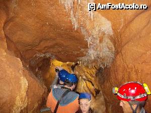 [P52]  -- <small>// FĂRĂ DESCRIERE</small> » foto by geta10
 - 
<span class="allrVoted glyphicon glyphicon-heart hidden" id="av462446"></span>
<a class="m-l-10 hidden" id="sv462446" onclick="voting_Foto_DelVot(,462446,15274)" role="button">șterge vot <span class="glyphicon glyphicon-remove"></span></a>
<a id="v9462446" class=" c-red"  onclick="voting_Foto_SetVot(462446)" role="button"><span class="glyphicon glyphicon-heart-empty"></span> <b>LIKE</b> = Votează poza</a> <img class="hidden"  id="f462446W9" src="/imagini/loader.gif" border="0" /><span class="AjErrMes hidden" id="e462446ErM"></span>