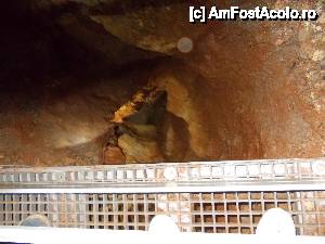 [P54]  -- <small>// FĂRĂ DESCRIERE</small> » foto by geta10
 - 
<span class="allrVoted glyphicon glyphicon-heart hidden" id="av462450"></span>
<a class="m-l-10 hidden" id="sv462450" onclick="voting_Foto_DelVot(,462450,15274)" role="button">șterge vot <span class="glyphicon glyphicon-remove"></span></a>
<a id="v9462450" class=" c-red"  onclick="voting_Foto_SetVot(462450)" role="button"><span class="glyphicon glyphicon-heart-empty"></span> <b>LIKE</b> = Votează poza</a> <img class="hidden"  id="f462450W9" src="/imagini/loader.gif" border="0" /><span class="AjErrMes hidden" id="e462450ErM"></span>