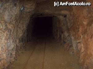 [P55]  -- <small>// FĂRĂ DESCRIERE</small> » foto by geta10
 - 
<span class="allrVoted glyphicon glyphicon-heart hidden" id="av462451"></span>
<a class="m-l-10 hidden" id="sv462451" onclick="voting_Foto_DelVot(,462451,15274)" role="button">șterge vot <span class="glyphicon glyphicon-remove"></span></a>
<a id="v9462451" class=" c-red"  onclick="voting_Foto_SetVot(462451)" role="button"><span class="glyphicon glyphicon-heart-empty"></span> <b>LIKE</b> = Votează poza</a> <img class="hidden"  id="f462451W9" src="/imagini/loader.gif" border="0" /><span class="AjErrMes hidden" id="e462451ErM"></span>