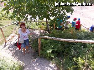 [P06]  -- <small>// FĂRĂ DESCRIERE</small> » foto by geta10
 - 
<span class="allrVoted glyphicon glyphicon-heart hidden" id="av462392"></span>
<a class="m-l-10 hidden" id="sv462392" onclick="voting_Foto_DelVot(,462392,15274)" role="button">șterge vot <span class="glyphicon glyphicon-remove"></span></a>
<a id="v9462392" class=" c-red"  onclick="voting_Foto_SetVot(462392)" role="button"><span class="glyphicon glyphicon-heart-empty"></span> <b>LIKE</b> = Votează poza</a> <img class="hidden"  id="f462392W9" src="/imagini/loader.gif" border="0" /><span class="AjErrMes hidden" id="e462392ErM"></span>