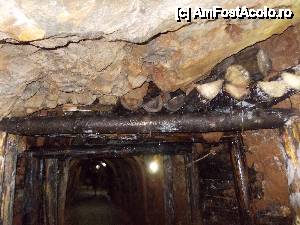 [P61]  -- <small>// FĂRĂ DESCRIERE</small> » foto by geta10
 - 
<span class="allrVoted glyphicon glyphicon-heart hidden" id="av462469"></span>
<a class="m-l-10 hidden" id="sv462469" onclick="voting_Foto_DelVot(,462469,15274)" role="button">șterge vot <span class="glyphicon glyphicon-remove"></span></a>
<a id="v9462469" class=" c-red"  onclick="voting_Foto_SetVot(462469)" role="button"><span class="glyphicon glyphicon-heart-empty"></span> <b>LIKE</b> = Votează poza</a> <img class="hidden"  id="f462469W9" src="/imagini/loader.gif" border="0" /><span class="AjErrMes hidden" id="e462469ErM"></span>