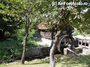 [P63]  -- <small>// FĂRĂ DESCRIERE</small> » foto by geta10
 - 
<span class="allrVoted glyphicon glyphicon-heart hidden" id="av462472"></span>
<a class="m-l-10 hidden" id="sv462472" onclick="voting_Foto_DelVot(,462472,15274)" role="button">șterge vot <span class="glyphicon glyphicon-remove"></span></a>
<a id="v9462472" class=" c-red"  onclick="voting_Foto_SetVot(462472)" role="button"><span class="glyphicon glyphicon-heart-empty"></span> <b>LIKE</b> = Votează poza</a> <img class="hidden"  id="f462472W9" src="/imagini/loader.gif" border="0" /><span class="AjErrMes hidden" id="e462472ErM"></span>