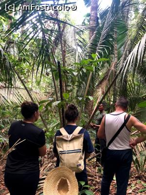 [P59] explorăm jungla » foto by robert
 - 
<span class="allrVoted glyphicon glyphicon-heart hidden" id="av1130372"></span>
<a class="m-l-10 hidden" id="sv1130372" onclick="voting_Foto_DelVot(,1130372,15276)" role="button">șterge vot <span class="glyphicon glyphicon-remove"></span></a>
<a id="v91130372" class=" c-red"  onclick="voting_Foto_SetVot(1130372)" role="button"><span class="glyphicon glyphicon-heart-empty"></span> <b>LIKE</b> = Votează poza</a> <img class="hidden"  id="f1130372W9" src="/imagini/loader.gif" border="0" /><span class="AjErrMes hidden" id="e1130372ErM"></span>