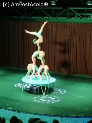 [P08] Mongolian Circus » foto by diadiro
 - 
<span class="allrVoted glyphicon glyphicon-heart hidden" id="av1305232"></span>
<a class="m-l-10 hidden" id="sv1305232" onclick="voting_Foto_DelVot(,1305232,15280)" role="button">șterge vot <span class="glyphicon glyphicon-remove"></span></a>
<a id="v91305232" class=" c-red"  onclick="voting_Foto_SetVot(1305232)" role="button"><span class="glyphicon glyphicon-heart-empty"></span> <b>LIKE</b> = Votează poza</a> <img class="hidden"  id="f1305232W9" src="/imagini/loader.gif" border="0" /><span class="AjErrMes hidden" id="e1305232ErM"></span>