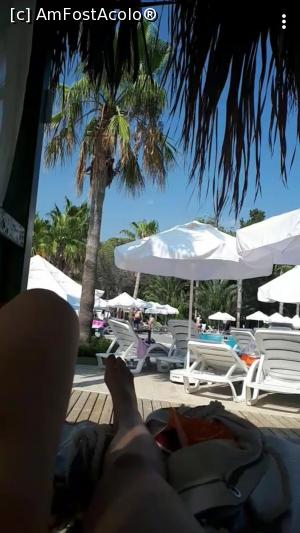 [P01] Poza din Baldachin, cu vedere la piscina » foto by Giuliarst
 - 
<span class="allrVoted glyphicon glyphicon-heart hidden" id="av936885"></span>
<a class="m-l-10 hidden" id="sv936885" onclick="voting_Foto_DelVot(,936885,15280)" role="button">șterge vot <span class="glyphicon glyphicon-remove"></span></a>
<a id="v9936885" class=" c-red"  onclick="voting_Foto_SetVot(936885)" role="button"><span class="glyphicon glyphicon-heart-empty"></span> <b>LIKE</b> = Votează poza</a> <img class="hidden"  id="f936885W9" src="/imagini/loader.gif" border="0" /><span class="AjErrMes hidden" id="e936885ErM"></span>