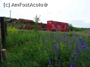 [P03] În natură - Pensiunea Haiducilor din Bistrița.  » foto by tata123 🔱
 - 
<span class="allrVoted glyphicon glyphicon-heart hidden" id="av965889"></span>
<a class="m-l-10 hidden" id="sv965889" onclick="voting_Foto_DelVot(,965889,15290)" role="button">șterge vot <span class="glyphicon glyphicon-remove"></span></a>
<a id="v9965889" class=" c-red"  onclick="voting_Foto_SetVot(965889)" role="button"><span class="glyphicon glyphicon-heart-empty"></span> <b>LIKE</b> = Votează poza</a> <img class="hidden"  id="f965889W9" src="/imagini/loader.gif" border="0" /><span class="AjErrMes hidden" id="e965889ErM"></span>