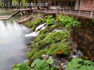 [P22] Velingrad, prin oraș. Parcul Kleptuza » foto by Dragoș_MD
 - 
<span class="allrVoted glyphicon glyphicon-heart hidden" id="av1466806"></span>
<a class="m-l-10 hidden" id="sv1466806" onclick="voting_Foto_DelVot(,1466806,15301)" role="button">șterge vot <span class="glyphicon glyphicon-remove"></span></a>
<a id="v91466806" class=" c-red"  onclick="voting_Foto_SetVot(1466806)" role="button"><span class="glyphicon glyphicon-heart-empty"></span> <b>LIKE</b> = Votează poza</a> <img class="hidden"  id="f1466806W9" src="/imagini/loader.gif" border="0" /><span class="AjErrMes hidden" id="e1466806ErM"></span>