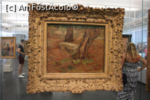[P53] Sao Paulo, MASP, Banca de piatră din azilul de la Saint Remy, Vincent van Gogh » foto by mprofeanu
 - 
<span class="allrVoted glyphicon glyphicon-heart hidden" id="av1058613"></span>
<a class="m-l-10 hidden" id="sv1058613" onclick="voting_Foto_DelVot(,1058613,15313)" role="button">șterge vot <span class="glyphicon glyphicon-remove"></span></a>
<a id="v91058613" class=" c-red"  onclick="voting_Foto_SetVot(1058613)" role="button"><span class="glyphicon glyphicon-heart-empty"></span> <b>LIKE</b> = Votează poza</a> <img class="hidden"  id="f1058613W9" src="/imagini/loader.gif" border="0" /><span class="AjErrMes hidden" id="e1058613ErM"></span>
