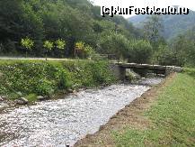 [P03] Lotrioara trece prin proprietatea pensiunii » foto by Michi
 - 
<span class="allrVoted glyphicon glyphicon-heart hidden" id="av464102"></span>
<a class="m-l-10 hidden" id="sv464102" onclick="voting_Foto_DelVot(,464102,15318)" role="button">șterge vot <span class="glyphicon glyphicon-remove"></span></a>
<a id="v9464102" class=" c-red"  onclick="voting_Foto_SetVot(464102)" role="button"><span class="glyphicon glyphicon-heart-empty"></span> <b>LIKE</b> = Votează poza</a> <img class="hidden"  id="f464102W9" src="/imagini/loader.gif" border="0" /><span class="AjErrMes hidden" id="e464102ErM"></span>