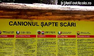 [P20] o scurtă informare...  » foto by LaurentiuMan
 - 
<span class="allrVoted glyphicon glyphicon-heart hidden" id="av625953"></span>
<a class="m-l-10 hidden" id="sv625953" onclick="voting_Foto_DelVot(,625953,15319)" role="button">șterge vot <span class="glyphicon glyphicon-remove"></span></a>
<a id="v9625953" class=" c-red"  onclick="voting_Foto_SetVot(625953)" role="button"><span class="glyphicon glyphicon-heart-empty"></span> <b>LIKE</b> = Votează poza</a> <img class="hidden"  id="f625953W9" src="/imagini/loader.gif" border="0" /><span class="AjErrMes hidden" id="e625953ErM"></span>