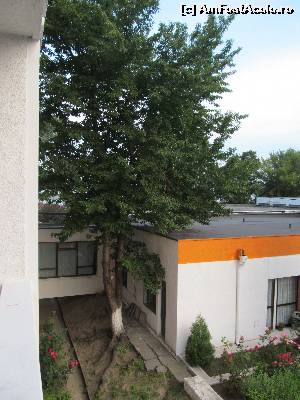 [P25] Vedere de la balconul camerei mele, spre un copac ciudat...  » foto by Neptunus
 - 
<span class="allrVoted glyphicon glyphicon-heart hidden" id="av541120"></span>
<a class="m-l-10 hidden" id="sv541120" onclick="voting_Foto_DelVot(,541120,15344)" role="button">șterge vot <span class="glyphicon glyphicon-remove"></span></a>
<a id="v9541120" class=" c-red"  onclick="voting_Foto_SetVot(541120)" role="button"><span class="glyphicon glyphicon-heart-empty"></span> <b>LIKE</b> = Votează poza</a> <img class="hidden"  id="f541120W9" src="/imagini/loader.gif" border="0" /><span class="AjErrMes hidden" id="e541120ErM"></span>