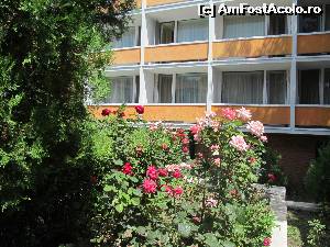 [P04] Detaliu la H. Belvedere.  » foto by Neptunus
 - 
<span class="allrVoted glyphicon glyphicon-heart hidden" id="av541084"></span>
<a class="m-l-10 hidden" id="sv541084" onclick="voting_Foto_DelVot(,541084,15344)" role="button">șterge vot <span class="glyphicon glyphicon-remove"></span></a>
<a id="v9541084" class=" c-red"  onclick="voting_Foto_SetVot(541084)" role="button"><span class="glyphicon glyphicon-heart-empty"></span> <b>LIKE</b> = Votează poza</a> <img class="hidden"  id="f541084W9" src="/imagini/loader.gif" border="0" /><span class="AjErrMes hidden" id="e541084ErM"></span>