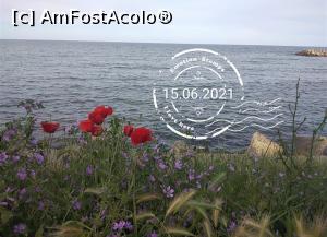 [P29] Cazemata lu' Puiu, Mangalia » foto by Mioritik
 - 
<span class="allrVoted glyphicon glyphicon-heart hidden" id="av1245843"></span>
<a class="m-l-10 hidden" id="sv1245843" onclick="voting_Foto_DelVot(,1245843,15352)" role="button">șterge vot <span class="glyphicon glyphicon-remove"></span></a>
<a id="v91245843" class=" c-red"  onclick="voting_Foto_SetVot(1245843)" role="button"><span class="glyphicon glyphicon-heart-empty"></span> <b>LIKE</b> = Votează poza</a> <img class="hidden"  id="f1245843W9" src="/imagini/loader.gif" border="0" /><span class="AjErrMes hidden" id="e1245843ErM"></span>