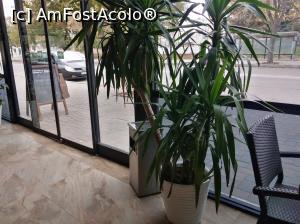 [P04] Restaurant Lavrion, Mangalia » foto by Mioritik
 - 
<span class="allrVoted glyphicon glyphicon-heart hidden" id="av1264706"></span>
<a class="m-l-10 hidden" id="sv1264706" onclick="voting_Foto_DelVot(,1264706,15352)" role="button">șterge vot <span class="glyphicon glyphicon-remove"></span></a>
<a id="v91264706" class=" c-red"  onclick="voting_Foto_SetVot(1264706)" role="button"><span class="glyphicon glyphicon-heart-empty"></span> <b>LIKE</b> = Votează poza</a> <img class="hidden"  id="f1264706W9" src="/imagini/loader.gif" border="0" /><span class="AjErrMes hidden" id="e1264706ErM"></span>
