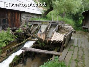 [P18] Vâltoarea din gospodăria familiei Avram.  » foto by Safta Radu
 - 
<span class="allrVoted glyphicon glyphicon-heart hidden" id="av995661"></span>
<a class="m-l-10 hidden" id="sv995661" onclick="voting_Foto_DelVot(,995661,15371)" role="button">șterge vot <span class="glyphicon glyphicon-remove"></span></a>
<a id="v9995661" class=" c-red"  onclick="voting_Foto_SetVot(995661)" role="button"><span class="glyphicon glyphicon-heart-empty"></span> <b>LIKE</b> = Votează poza</a> <img class="hidden"  id="f995661W9" src="/imagini/loader.gif" border="0" /><span class="AjErrMes hidden" id="e995661ErM"></span>