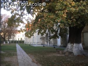 [P20] Sebes - Biserica Evanghelica - dar prin gard am facut o poza » foto by mishu
 - 
<span class="allrVoted glyphicon glyphicon-heart hidden" id="av940720"></span>
<a class="m-l-10 hidden" id="sv940720" onclick="voting_Foto_DelVot(,940720,15371)" role="button">șterge vot <span class="glyphicon glyphicon-remove"></span></a>
<a id="v9940720" class=" c-red"  onclick="voting_Foto_SetVot(940720)" role="button"><span class="glyphicon glyphicon-heart-empty"></span> <b>LIKE</b> = Votează poza</a> <img class="hidden"  id="f940720W9" src="/imagini/loader.gif" border="0" /><span class="AjErrMes hidden" id="e940720ErM"></span>