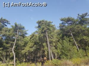 [P14] Trei săptămâni de hoinărit prin Turcia în 2020 - drumul spre Bodrum » foto by nicole33
 - 
<span class="allrVoted glyphicon glyphicon-heart hidden" id="av1202328"></span>
<a class="m-l-10 hidden" id="sv1202328" onclick="voting_Foto_DelVot(,1202328,15385)" role="button">șterge vot <span class="glyphicon glyphicon-remove"></span></a>
<a id="v91202328" class=" c-red"  onclick="voting_Foto_SetVot(1202328)" role="button"><span class="glyphicon glyphicon-heart-empty"></span> <b>LIKE</b> = Votează poza</a> <img class="hidden"  id="f1202328W9" src="/imagini/loader.gif" border="0" /><span class="AjErrMes hidden" id="e1202328ErM"></span>