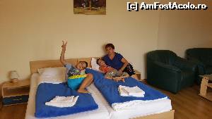 [P02] Camera foarte curata si frumos amenajata » foto by florin.pacala
 - 
<span class="allrVoted glyphicon glyphicon-heart hidden" id="av653323"></span>
<a class="m-l-10 hidden" id="sv653323" onclick="voting_Foto_DelVot(,653323,15406)" role="button">șterge vot <span class="glyphicon glyphicon-remove"></span></a>
<a id="v9653323" class=" c-red"  onclick="voting_Foto_SetVot(653323)" role="button"><span class="glyphicon glyphicon-heart-empty"></span> <b>LIKE</b> = Votează poza</a> <img class="hidden"  id="f653323W9" src="/imagini/loader.gif" border="0" /><span class="AjErrMes hidden" id="e653323ErM"></span>