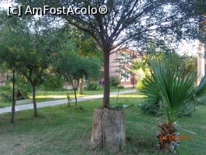 [P30] copac plantat intr-un trunchi vechi » foto by nrs †
 - 
<span class="allrVoted glyphicon glyphicon-heart hidden" id="av909286"></span>
<a class="m-l-10 hidden" id="sv909286" onclick="voting_Foto_DelVot(,909286,15414)" role="button">șterge vot <span class="glyphicon glyphicon-remove"></span></a>
<a id="v9909286" class=" c-red"  onclick="voting_Foto_SetVot(909286)" role="button"><span class="glyphicon glyphicon-heart-empty"></span> <b>LIKE</b> = Votează poza</a> <img class="hidden"  id="f909286W9" src="/imagini/loader.gif" border="0" /><span class="AjErrMes hidden" id="e909286ErM"></span>