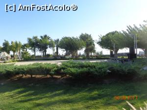 [P45] si la Castel e multa verdeata » foto by nrs †
 - 
<span class="allrVoted glyphicon glyphicon-heart hidden" id="av909301"></span>
<a class="m-l-10 hidden" id="sv909301" onclick="voting_Foto_DelVot(,909301,15414)" role="button">șterge vot <span class="glyphicon glyphicon-remove"></span></a>
<a id="v9909301" class=" c-red"  onclick="voting_Foto_SetVot(909301)" role="button"><span class="glyphicon glyphicon-heart-empty"></span> <b>LIKE</b> = Votează poza</a> <img class="hidden"  id="f909301W9" src="/imagini/loader.gif" border="0" /><span class="AjErrMes hidden" id="e909301ErM"></span>