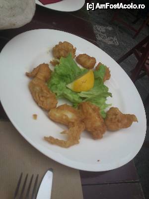 [P12] 'Mix' de peste.  » foto by alinaro
 - 
<span class="allrVoted glyphicon glyphicon-heart hidden" id="av478890"></span>
<a class="m-l-10 hidden" id="sv478890" onclick="voting_Foto_DelVot(,478890,15428)" role="button">șterge vot <span class="glyphicon glyphicon-remove"></span></a>
<a id="v9478890" class=" c-red"  onclick="voting_Foto_SetVot(478890)" role="button"><span class="glyphicon glyphicon-heart-empty"></span> <b>LIKE</b> = Votează poza</a> <img class="hidden"  id="f478890W9" src="/imagini/loader.gif" border="0" /><span class="AjErrMes hidden" id="e478890ErM"></span>
