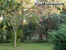[P02] Imagine din gradina vilei » foto by anidance
 - 
<span class="allrVoted glyphicon glyphicon-heart hidden" id="av471083"></span>
<a class="m-l-10 hidden" id="sv471083" onclick="voting_Foto_DelVot(,471083,15472)" role="button">șterge vot <span class="glyphicon glyphicon-remove"></span></a>
<a id="v9471083" class=" c-red"  onclick="voting_Foto_SetVot(471083)" role="button"><span class="glyphicon glyphicon-heart-empty"></span> <b>LIKE</b> = Votează poza</a> <img class="hidden"  id="f471083W9" src="/imagini/loader.gif" border="0" /><span class="AjErrMes hidden" id="e471083ErM"></span>