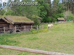 [P70] Oslo, Norsk Folkemuseum, Zona Hallingdal, Țarc de vară pentru cai » foto by mprofeanu
 - 
<span class="allrVoted glyphicon glyphicon-heart hidden" id="av1517179"></span>
<a class="m-l-10 hidden" id="sv1517179" onclick="voting_Foto_DelVot(,1517179,15474)" role="button">șterge vot <span class="glyphicon glyphicon-remove"></span></a>
<a id="v91517179" class=" c-red"  onclick="voting_Foto_SetVot(1517179)" role="button"><span class="glyphicon glyphicon-heart-empty"></span> <b>LIKE</b> = Votează poza</a> <img class="hidden"  id="f1517179W9" src="/imagini/loader.gif" border="0" /><span class="AjErrMes hidden" id="e1517179ErM"></span>