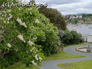 [P33] Oslo, Oscarshall, Vedere spre Port de pe Aleea ce coboară de la Palat » foto by mprofeanu
 - 
<span class="allrVoted glyphicon glyphicon-heart hidden" id="av1523571"></span>
<a class="m-l-10 hidden" id="sv1523571" onclick="voting_Foto_DelVot(,1523571,15474)" role="button">șterge vot <span class="glyphicon glyphicon-remove"></span></a>
<a id="v91523571" class=" c-red"  onclick="voting_Foto_SetVot(1523571)" role="button"><span class="glyphicon glyphicon-heart-empty"></span> <b>LIKE</b> = Votează poza</a> <img class="hidden"  id="f1523571W9" src="/imagini/loader.gif" border="0" /><span class="AjErrMes hidden" id="e1523571ErM"></span>