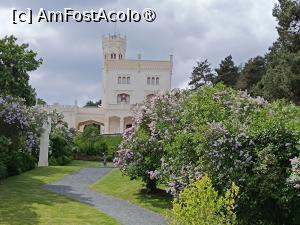 [P42] Oslo, Oscarshall văzut din parc și minunea de flori » foto by mprofeanu
 - 
<span class="allrVoted glyphicon glyphicon-heart hidden" id="av1523580"></span>
<a class="m-l-10 hidden" id="sv1523580" onclick="voting_Foto_DelVot(,1523580,15474)" role="button">șterge vot <span class="glyphicon glyphicon-remove"></span></a>
<a id="v91523580" class=" c-red"  onclick="voting_Foto_SetVot(1523580)" role="button"><span class="glyphicon glyphicon-heart-empty"></span> <b>LIKE</b> = Votează poza</a> <img class="hidden"  id="f1523580W9" src="/imagini/loader.gif" border="0" /><span class="AjErrMes hidden" id="e1523580ErM"></span>