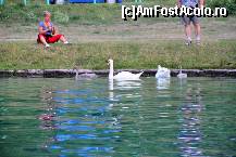 [P17] Bled - plimbare cu barca pe lac » foto by cristi_an3000
 - 
<span class="allrVoted glyphicon glyphicon-heart hidden" id="av472719"></span>
<a class="m-l-10 hidden" id="sv472719" onclick="voting_Foto_DelVot(,472719,15534)" role="button">șterge vot <span class="glyphicon glyphicon-remove"></span></a>
<a id="v9472719" class=" c-red"  onclick="voting_Foto_SetVot(472719)" role="button"><span class="glyphicon glyphicon-heart-empty"></span> <b>LIKE</b> = Votează poza</a> <img class="hidden"  id="f472719W9" src="/imagini/loader.gif" border="0" /><span class="AjErrMes hidden" id="e472719ErM"></span>