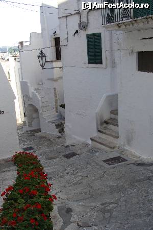[P20] Ostuni pe stradute in sus si in jos » foto by cristy1200
 - 
<span class="allrVoted glyphicon glyphicon-heart hidden" id="av479652"></span>
<a class="m-l-10 hidden" id="sv479652" onclick="voting_Foto_DelVot(,479652,15648)" role="button">șterge vot <span class="glyphicon glyphicon-remove"></span></a>
<a id="v9479652" class=" c-red"  onclick="voting_Foto_SetVot(479652)" role="button"><span class="glyphicon glyphicon-heart-empty"></span> <b>LIKE</b> = Votează poza</a> <img class="hidden"  id="f479652W9" src="/imagini/loader.gif" border="0" /><span class="AjErrMes hidden" id="e479652ErM"></span>