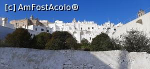[P04] Ostuni privit de la Chiesa Santisime del Carmine » foto by irinad
 - 
<span class="allrVoted glyphicon glyphicon-heart hidden" id="av1327511"></span>
<a class="m-l-10 hidden" id="sv1327511" onclick="voting_Foto_DelVot(,1327511,15648)" role="button">șterge vot <span class="glyphicon glyphicon-remove"></span></a>
<a id="v91327511" class=" c-red"  onclick="voting_Foto_SetVot(1327511)" role="button"><span class="glyphicon glyphicon-heart-empty"></span> <b>LIKE</b> = Votează poza</a> <img class="hidden"  id="f1327511W9" src="/imagini/loader.gif" border="0" /><span class="AjErrMes hidden" id="e1327511ErM"></span>