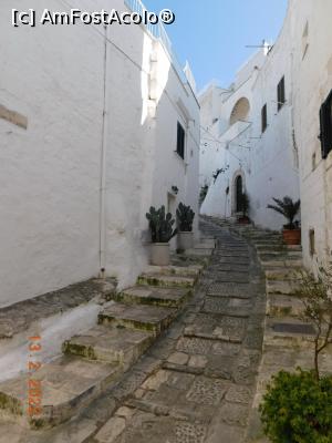 [P06] Trepte, ghivece cu flori în Centro Storico » foto by irinad
 - 
<span class="allrVoted glyphicon glyphicon-heart hidden" id="av1327513"></span>
<a class="m-l-10 hidden" id="sv1327513" onclick="voting_Foto_DelVot(,1327513,15648)" role="button">șterge vot <span class="glyphicon glyphicon-remove"></span></a>
<a id="v91327513" class=" c-red"  onclick="voting_Foto_SetVot(1327513)" role="button"><span class="glyphicon glyphicon-heart-empty"></span> <b>LIKE</b> = Votează poza</a> <img class="hidden"  id="f1327513W9" src="/imagini/loader.gif" border="0" /><span class="AjErrMes hidden" id="e1327513ErM"></span>