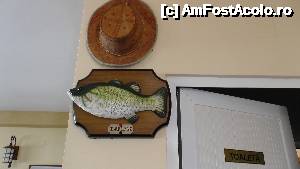 [P14] imagine din sala de servit masa » foto by silvia tudoran
 - 
<span class="allrVoted glyphicon glyphicon-heart hidden" id="av479957"></span>
<a class="m-l-10 hidden" id="sv479957" onclick="voting_Foto_DelVot(,479957,15675)" role="button">șterge vot <span class="glyphicon glyphicon-remove"></span></a>
<a id="v9479957" class=" c-red"  onclick="voting_Foto_SetVot(479957)" role="button"><span class="glyphicon glyphicon-heart-empty"></span> <b>LIKE</b> = Votează poza</a> <img class="hidden"  id="f479957W9" src="/imagini/loader.gif" border="0" /><span class="AjErrMes hidden" id="e479957ErM"></span>