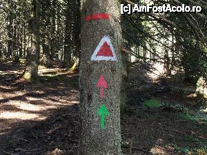 [P08] Pe aici se pot face trasee si cu bicicleta » foto by Lumis66
 - 
<span class="allrVoted glyphicon glyphicon-heart hidden" id="av480487"></span>
<a class="m-l-10 hidden" id="sv480487" onclick="voting_Foto_DelVot(,480487,15686)" role="button">șterge vot <span class="glyphicon glyphicon-remove"></span></a>
<a id="v9480487" class=" c-red"  onclick="voting_Foto_SetVot(480487)" role="button"><span class="glyphicon glyphicon-heart-empty"></span> <b>LIKE</b> = Votează poza</a> <img class="hidden"  id="f480487W9" src="/imagini/loader.gif" border="0" /><span class="AjErrMes hidden" id="e480487ErM"></span>