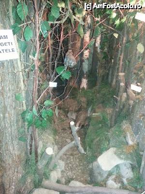 [P04] Un colt de natura la intrarea in muzeu - a se privi poza rasturnata cu 90 grade » foto by Dan&Ema
 - 
<span class="allrVoted glyphicon glyphicon-heart hidden" id="av481207"></span>
<a class="m-l-10 hidden" id="sv481207" onclick="voting_Foto_DelVot(,481207,15703)" role="button">șterge vot <span class="glyphicon glyphicon-remove"></span></a>
<a id="v9481207" class=" c-red"  onclick="voting_Foto_SetVot(481207)" role="button"><span class="glyphicon glyphicon-heart-empty"></span> <b>LIKE</b> = Votează poza</a> <img class="hidden"  id="f481207W9" src="/imagini/loader.gif" border="0" /><span class="AjErrMes hidden" id="e481207ErM"></span>