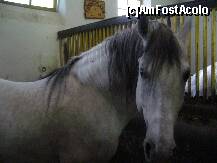 [P01]  -- <small>// FĂRĂ DESCRIERE</small> » foto by Paty
 - 
<span class="allrVoted glyphicon glyphicon-heart hidden" id="av157988"></span>
<a class="m-l-10 hidden" id="sv157988" onclick="voting_Foto_DelVot(,157988,15708)" role="button">șterge vot <span class="glyphicon glyphicon-remove"></span></a>
<a id="v9157988" class=" c-red"  onclick="voting_Foto_SetVot(157988)" role="button"><span class="glyphicon glyphicon-heart-empty"></span> <b>LIKE</b> = Votează poza</a> <img class="hidden"  id="f157988W9" src="/imagini/loader.gif" border="0" /><span class="AjErrMes hidden" id="e157988ErM"></span>